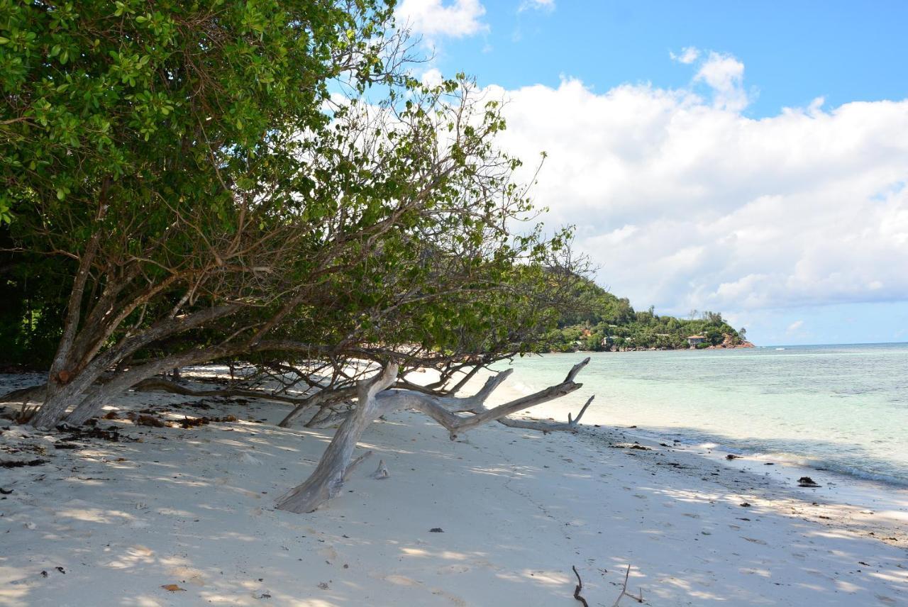 Villa Anse La Blague Baie Sainte Anne Luaran gambar